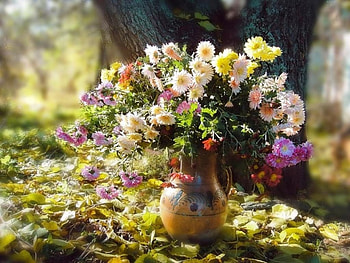 Lovely, leaves, garden, vase, nature, flowers, tree HD wallpaper