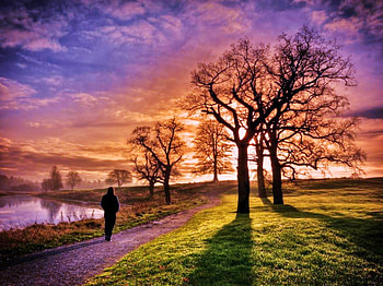 Quiet time, morning, grass, misty, walk, lake, woman, sky quiet, clouds, trees HD wallpaper