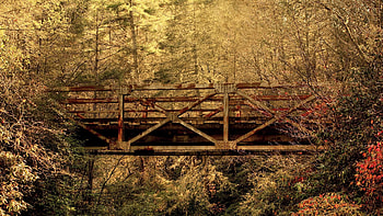 Nature, Trees, Forest, Bridge, Bars, Crossbeams HD wallpaper