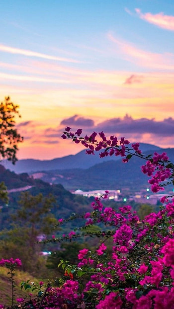 May, Beautiful, Scenery HD phone wallpaper