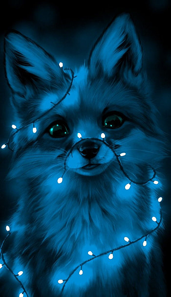 Sebestyén Viola on rókák. Cute animal drawings kawaii, Cute fox drawing, Cute cartoon animals, Kawaii Galaxy Animals HD phone wallpaper