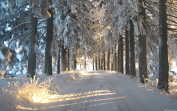 Windows Backgrounds Winter - 356084 HD wallpaper