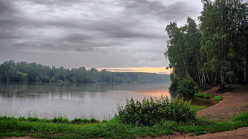 Nature, Trees, Lake, Shore, Bank, Morning, Mainly Cloudy, Overcast, Nettle HD wallpaper