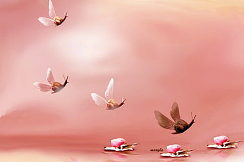 fantasy spring, blue, imagination, snails, spring, snail, pink, scenery, butterfly, fantasy, green, nature, flowers, sky HD wallpaper