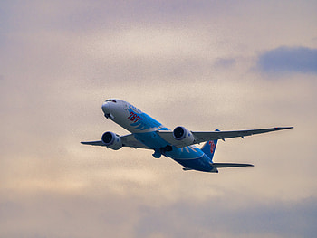 the 787th Boeing 787, airplane, vehicle, Boeing 787 HD wallpaper