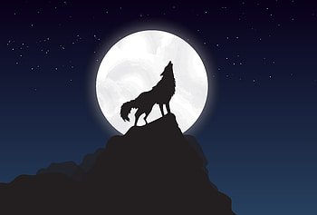 Wolf Howling Night Illustration, wolf, minimalism, minimalist, artist, artwork, digital-art, 1 HD wallpaper