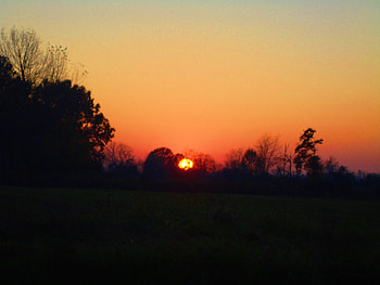 bloody sunset, red sky, field, clear sky, red, trees, sunset, bloody HD wallpaper