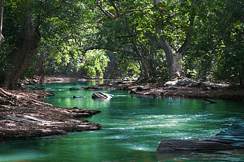 Forest river, Water, Nature, Summer, Stones HD wallpaper