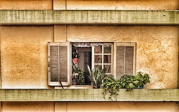 Flowers, Miscellanea, Miscellaneous, Window, Balcony HD wallpaper