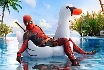 Deadpool 2 Coachella Poster, deadpool-2, poster, 2018-movies, movies HD wallpaper