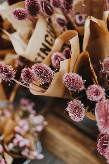 Flowers, Violet, Bouquets, Close-Up, Purple HD phone wallpaper