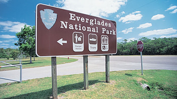 Everglades National Park, RV travel, Camper exploration, Adventure HD wallpaper