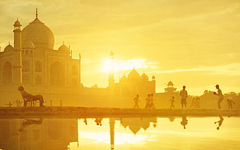 Taj Mahal, india, world, taj-mahal, wonders-of-the-world HD wallpaper