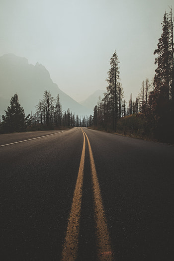 Nature, Trees, Sky, Road, Turn, Markup, Fog HD phone wallpaper