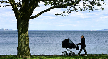 The baby stroller, other, nature, people, lake HD wallpaper