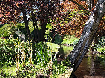 Japanese Garden, trees, water, foliage, stream HD wallpaper