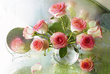 Roses, Mirror, Vase, Drops HD wallpaper