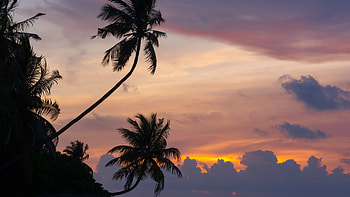 Maldivian Sunset, maldives, island, nature HD wallpaper