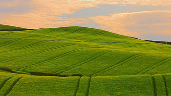 Nature, Summer, Field, Dahl, Distance, Handsomely, It's Beautiful HD wallpaper