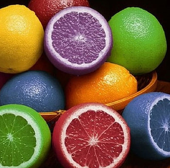 Colors, Fruit, Orange, Colorful HD wallpaper