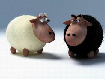 Animals sheep, animals, sheep HD wallpaper