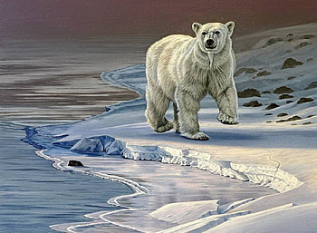 Walk in the Arctic, cold, animal, white, bear HD wallpaper