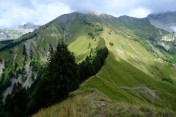 Landscape, Nature, Trees, Grass, Mountain, Mountain Range HD wallpaper