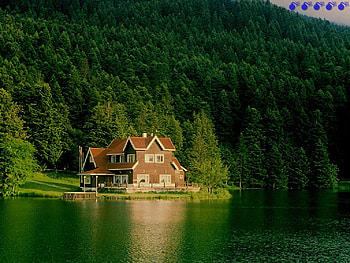 golcuk,turkey, golcuk, turkey, forest HD wallpaper