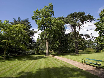 Whatton Gardens, trees, garden, grass, park HD wallpaper