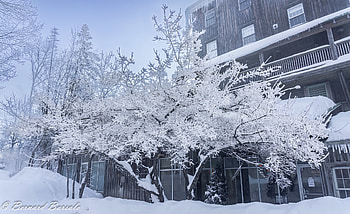 Québec Frosted Lodge | Snowbound Quebec Chalet | Frosted Winter Facade —, man made, Quebec HD wallpaper