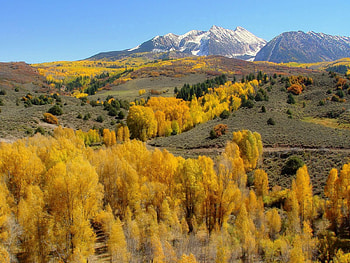 Nature, Trees, Mountains, Autumn, Slopes HD wallpaper