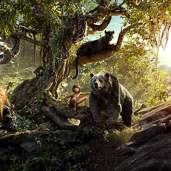 The Jungle Book (Movie), Enchanting wilderness, Mowgli's adventure, Majestic creatures HD phone wallpaper