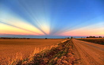 Nature, Sunset, Rays, Beams, Road, Field, Evening, Agriculture, Crops HD wallpaper