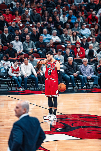 Zach LaVine, NBA player, Chicago Bulls HD phone wallpaper