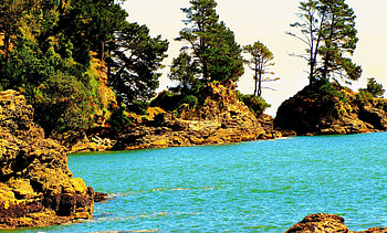 Beach, turquoise, green, trees, water, rocks, ocean, chile HD wallpaper