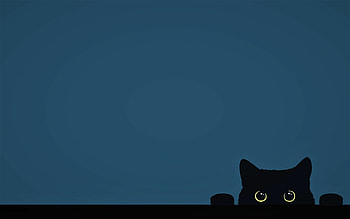 Minimalistic cat art, Funny cat illustrations, Cute yellow eyes, Simple and clean backgrounds HD wallpaper