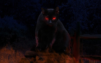 Cat from Hell, black, glow, fantasy, cat, dark HD wallpaper