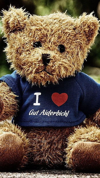 Teddy Bear Ke, Blue Tshirt HD phone wallpaper