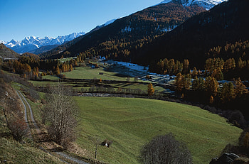 Nature, Trees, Mountains, Snow, Vertex, Road, Tops, Meadows, Slopes HD wallpaper