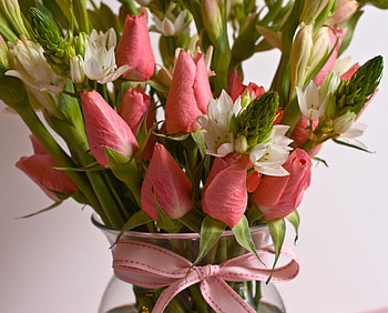 Flowers, Roses, Bouquet, Bow, Vase, Buds HD wallpaper