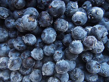 Food, Bilberries, Berries, Ripe, Harvest HD wallpaper