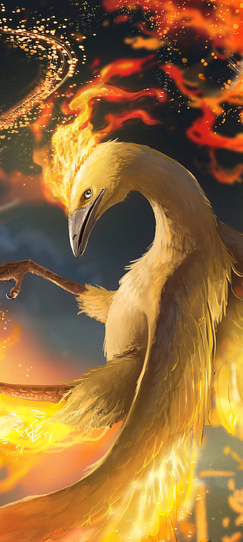 Blazing Moltres | Moltres: Ember Flight | Phoenix Flame Moltres | Anime Firebird WP, Anime, Pokemon HD phone wallpaper