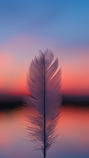 Feather focus blur, Sunset backdrop, , Sony Xperia HD phone wallpaper
