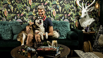 Joey Graceffa, Favorite room, YouTuber, Daily Press HD wallpaper