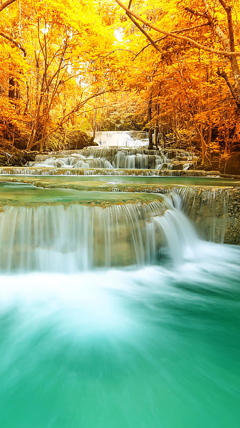 Paisaje, Hermosos, Ríos, Árboles, Paisajes HD phone wallpaper
