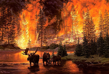 By Jim Tschetter, animal, painting, art, fire, jim tschetter HD wallpaper