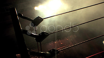 Collection of Wrestling Ring : 6937068 HD wallpaper