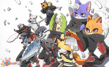 akatsuki, cats, naruto shippuden, anime HD wallpaper