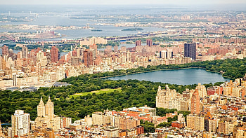 Central Park in New York, Colorful art and collectibles, Instant , and iPad HD wallpaper