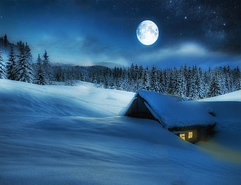 Snow, , Winter, Cabin, Forest, Moon, Night, Stars HD wallpaper